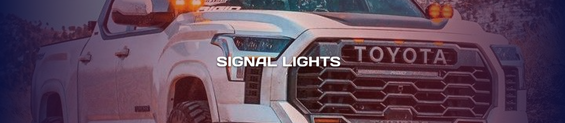Desktop Banner